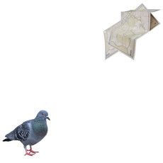 Image without a name