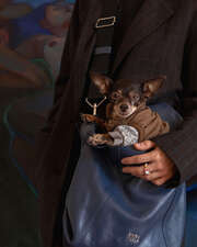 Image without a name