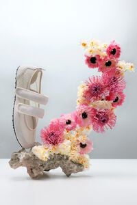 Zapatilla tenis velcros blanca