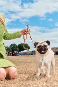 Llavero metal hueso marfil