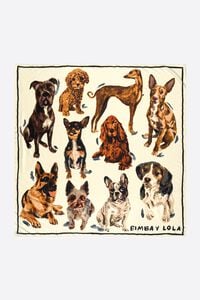 Pañuelo estampado perros