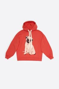 Sudadera capucha logo carlino rojo