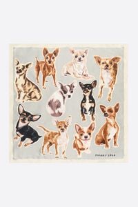 Pa&ntilde;uelo Chihuahuas