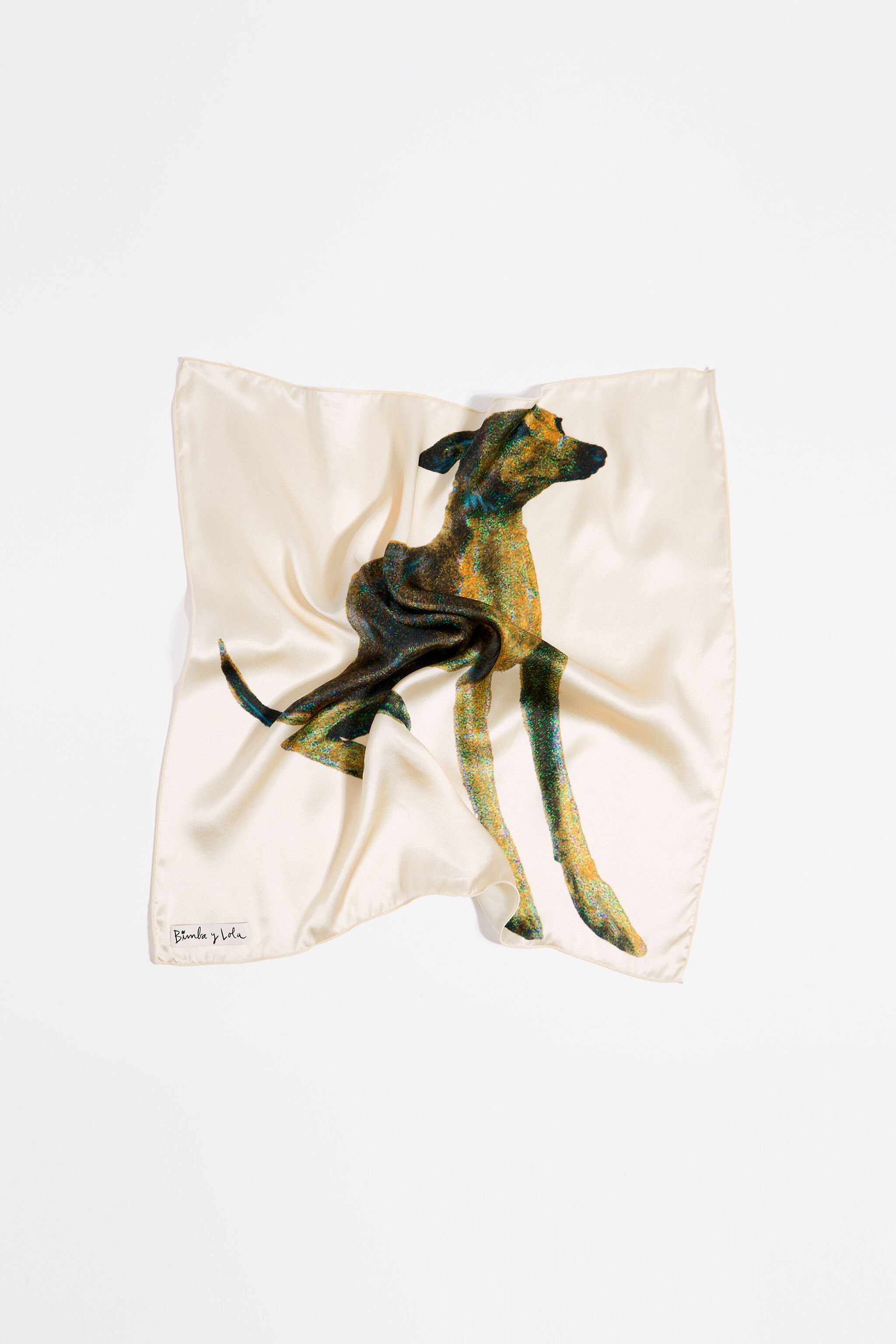 Pa uelo seda galgo