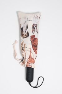 Paraguas estampado perros