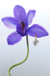 Aretes aro dorados y coraz&oacute;n perla